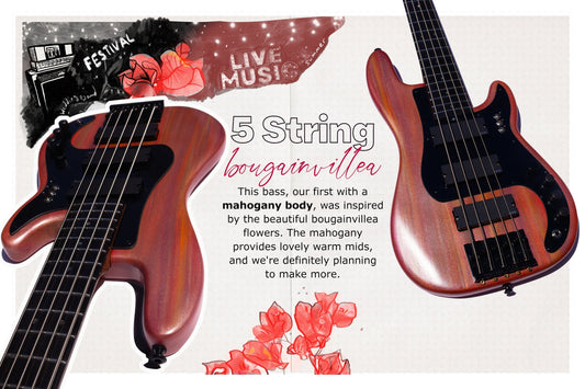 Our First Mahogany Bass
