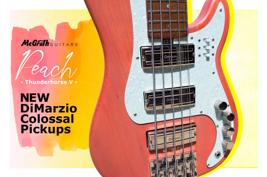 DiMarzio NEW 5 String Soap Bar Pickup