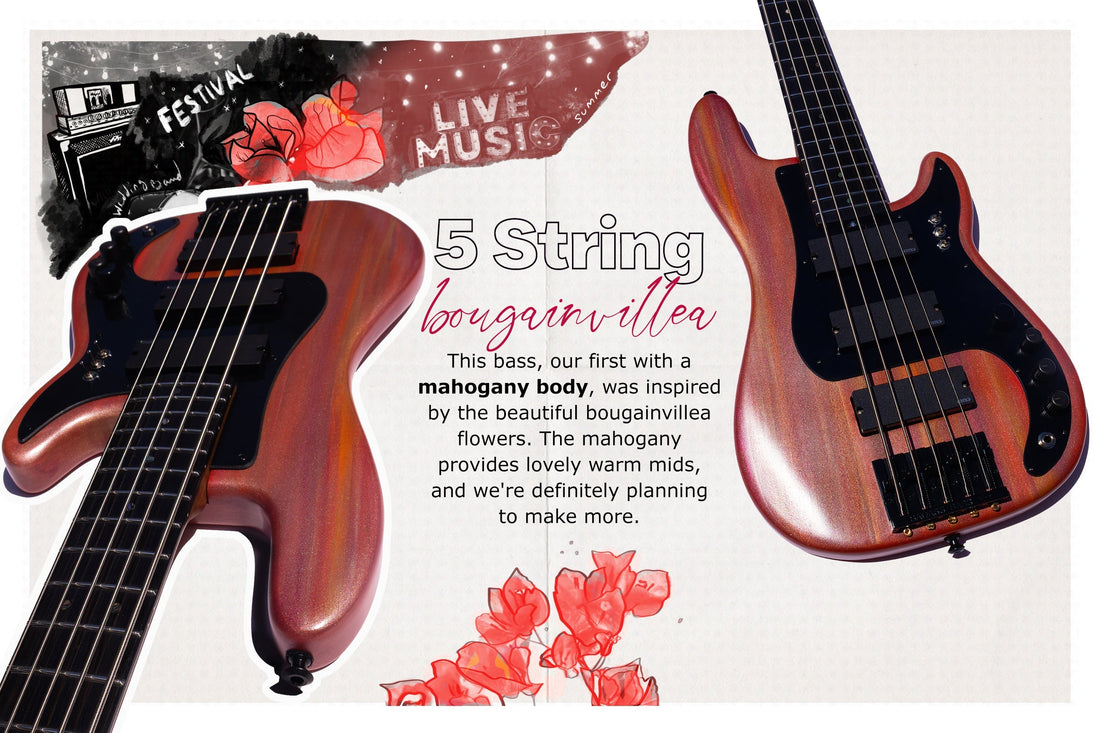 Our First Mahogany Bass