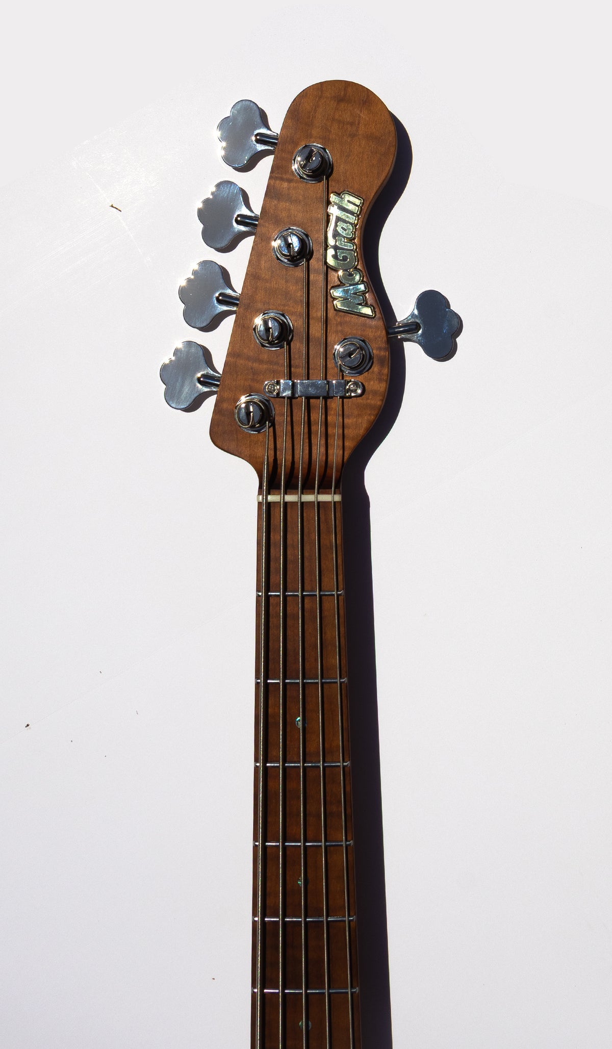 Thunderhorse V - Southwest - McGrath Guitars