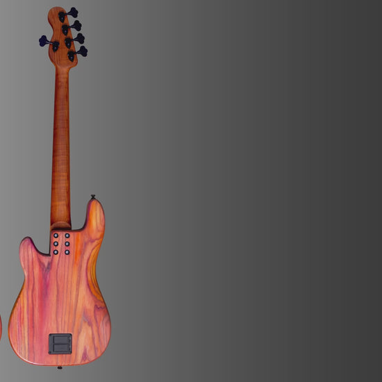 Thunderhorse V with EMG pickups

